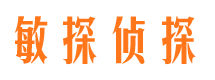 山亭敏探私家侦探公司